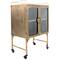 Hello Honey® Gold Metal Cabinet with Locking Caster Wheels & Glass Doors